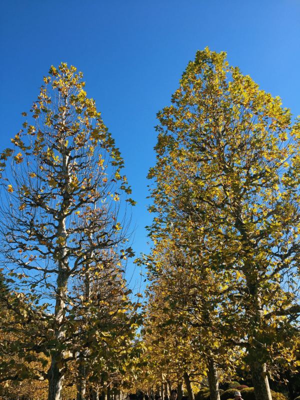 e0361278_16191304.jpg
