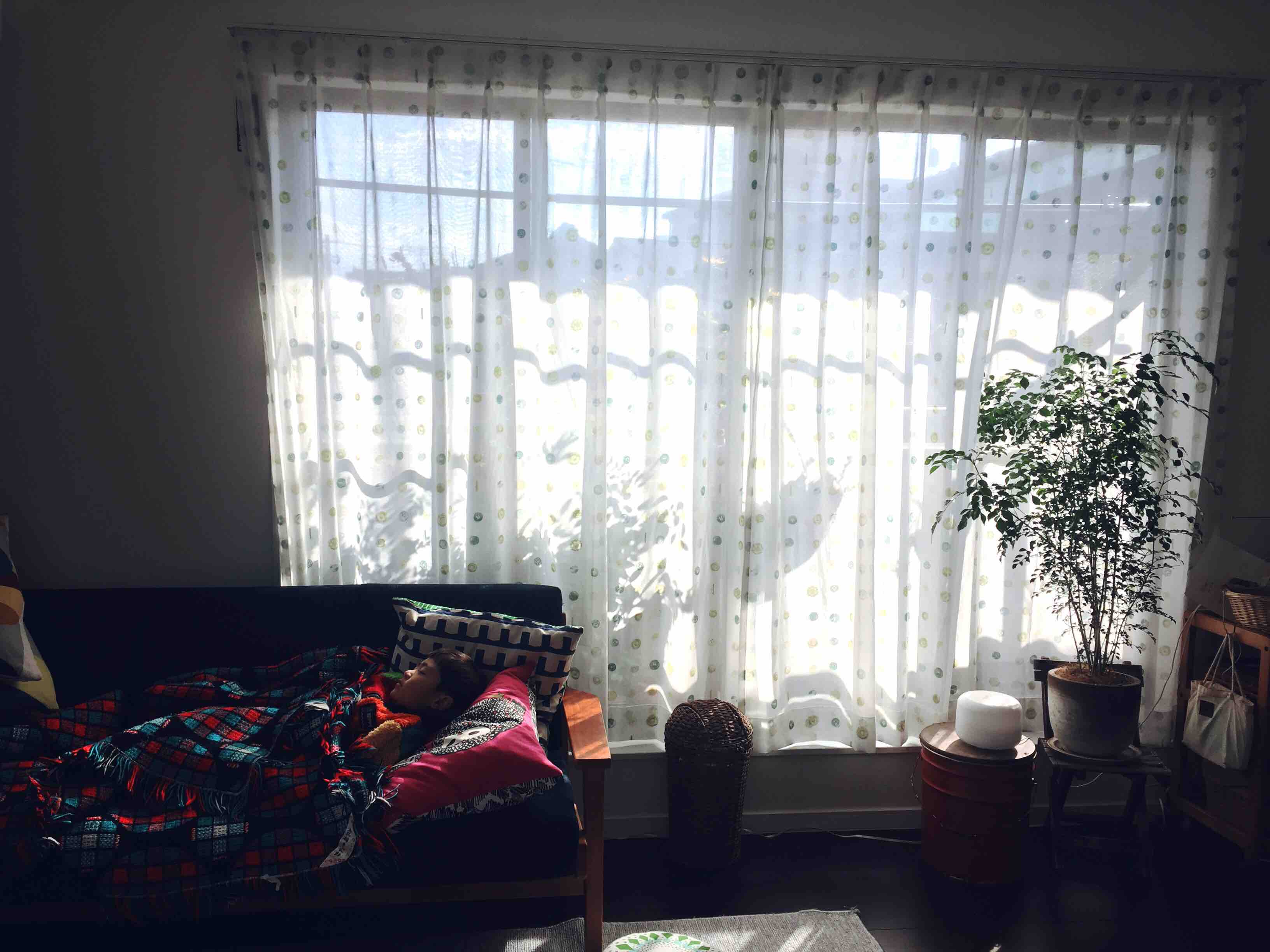 e0361278_16193912.jpg