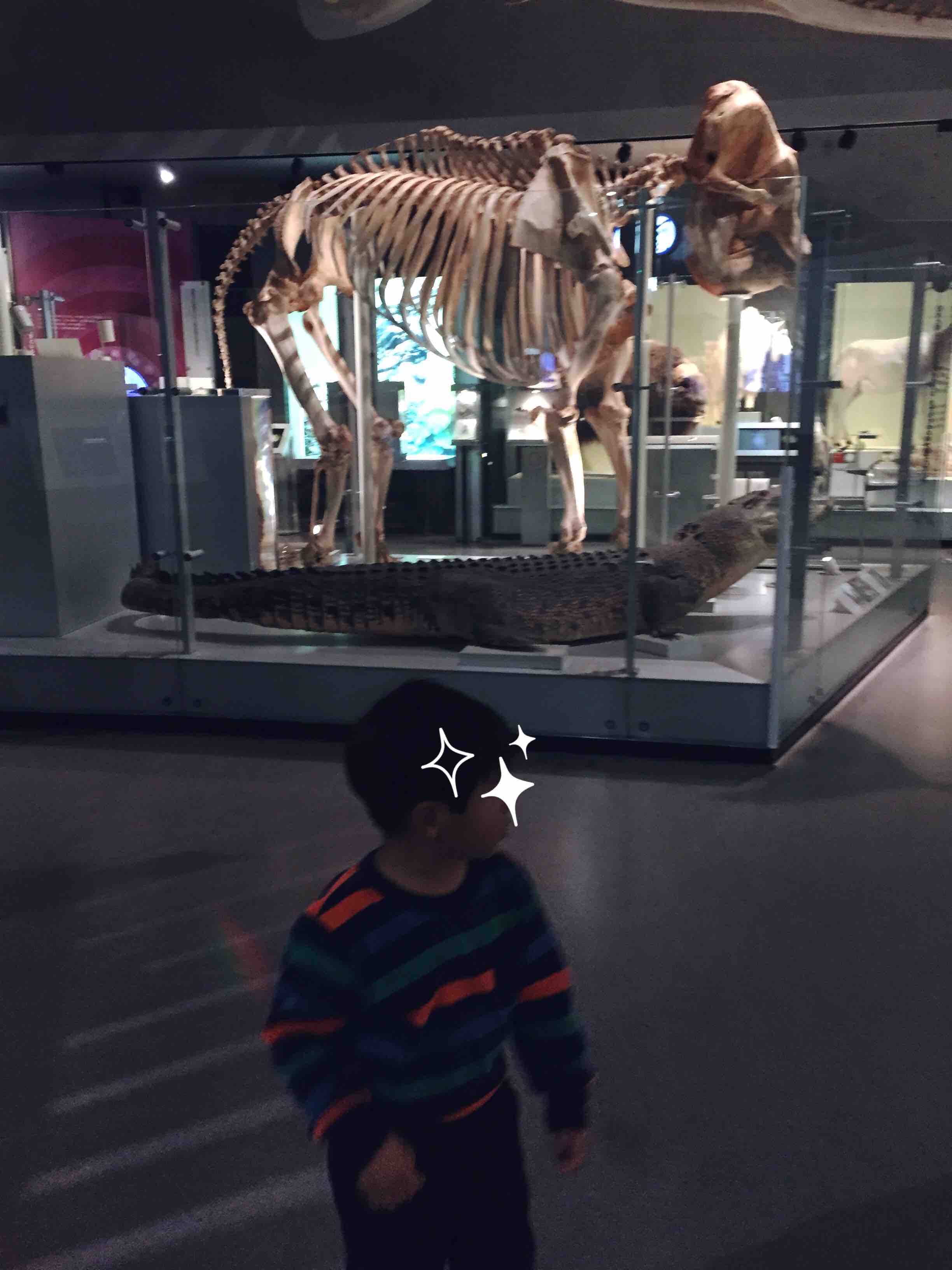 e0361278_16345362.jpg