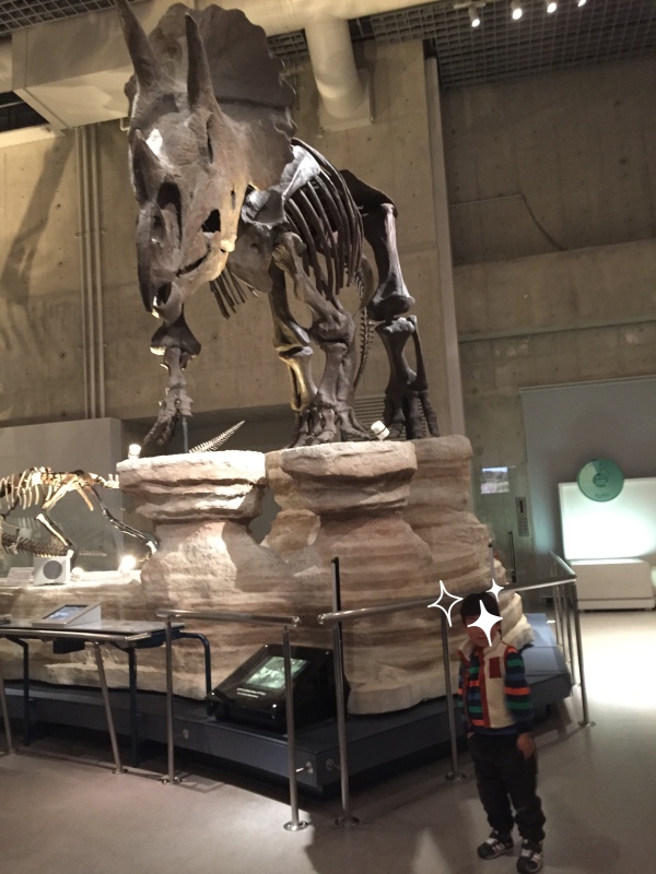 e0361278_16350000.jpg