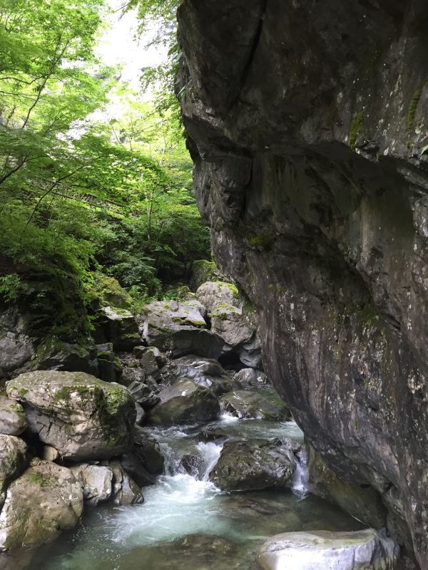 e0361278_17192164.jpg
