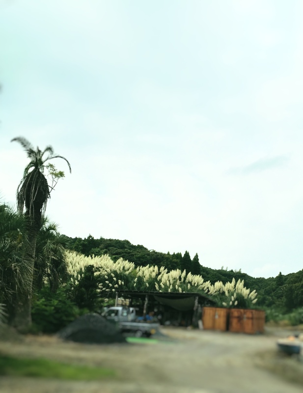 e0361278_17325403.jpg