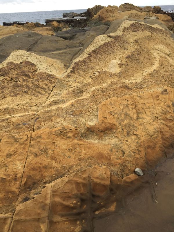 e0361278_17332773.jpg