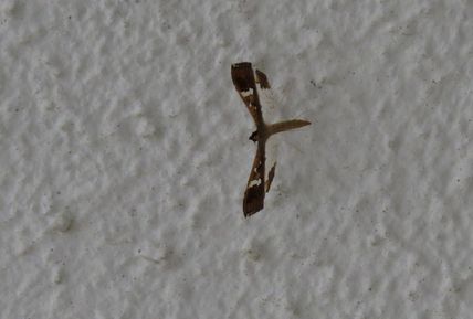 d0020180_1158178.jpg