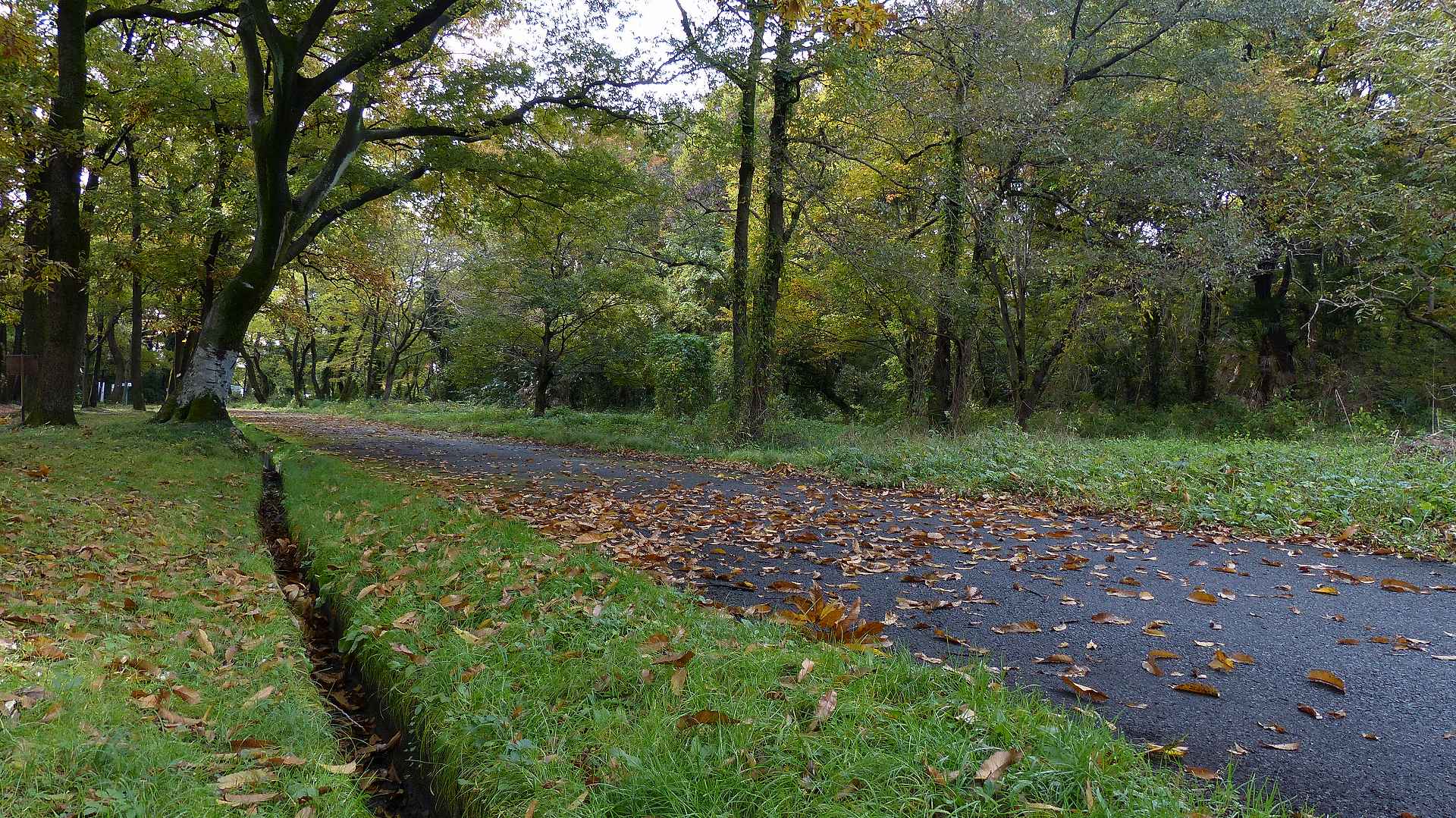 a0185081_10424230.jpg