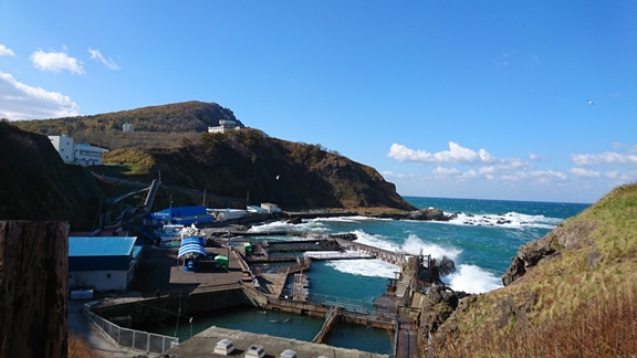 b0224081_8491366.jpg
