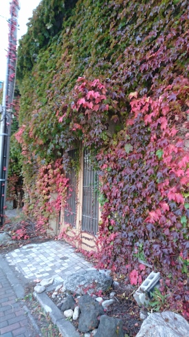 b0224081_8493372.jpg