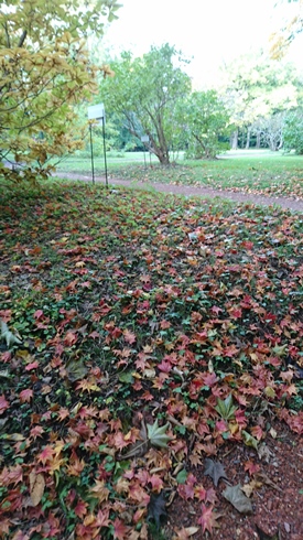 b0224081_855084.jpg