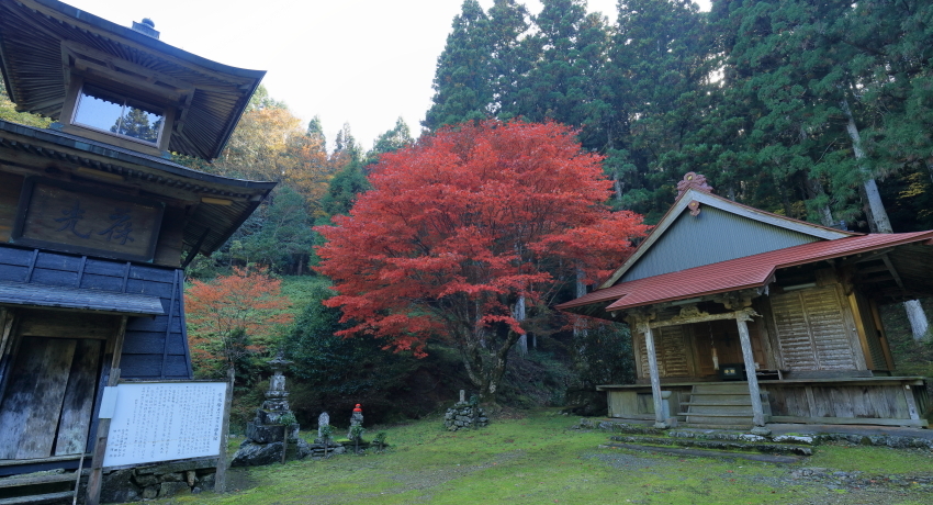 f0368583_08201598.jpg