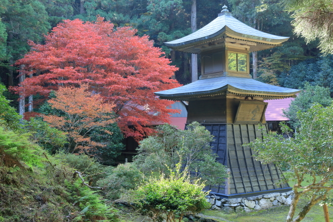 f0368583_08210061.jpg