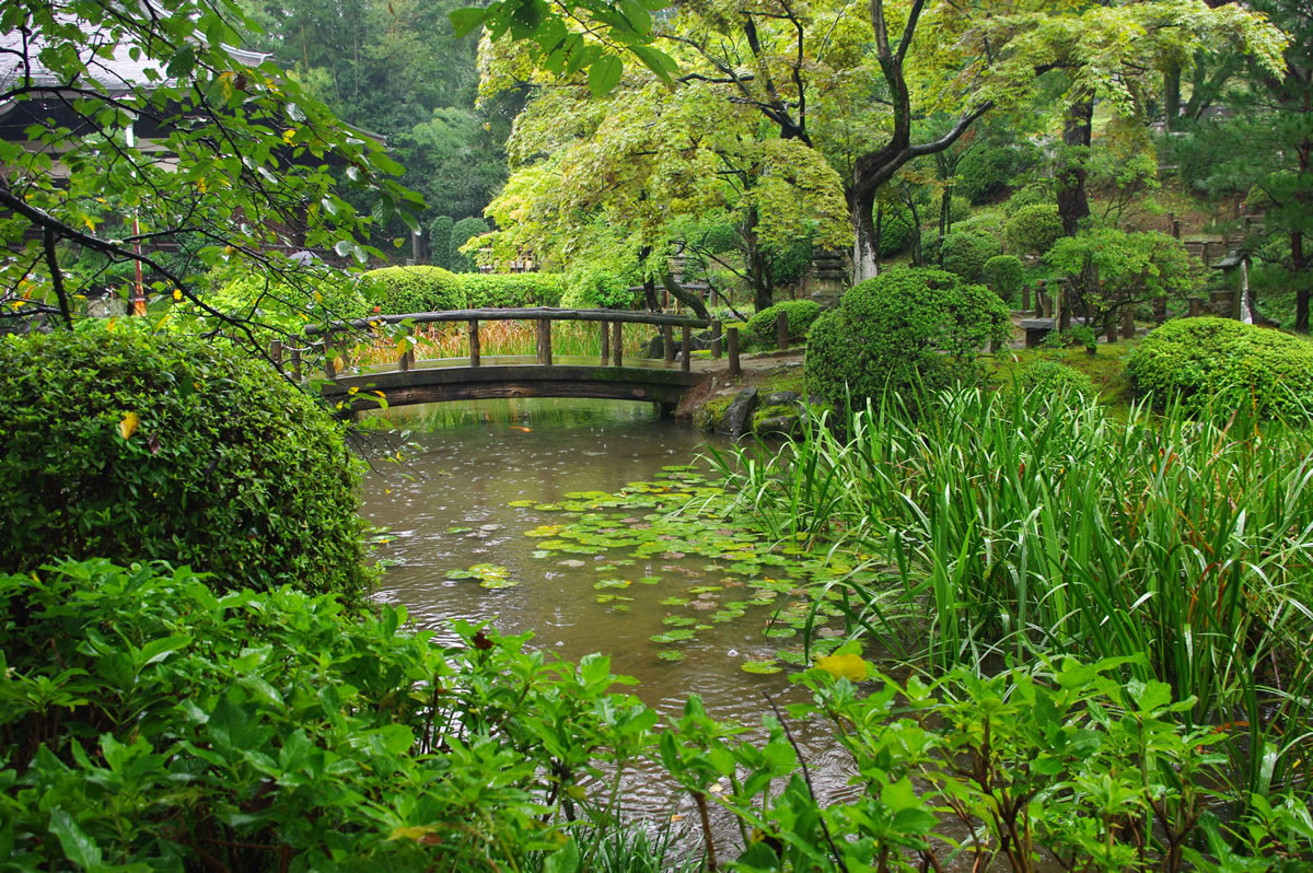 b0123486_8194295.jpg