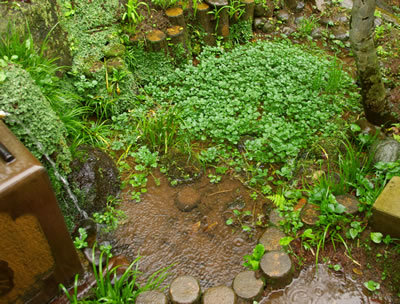 b0123486_8351196.jpg