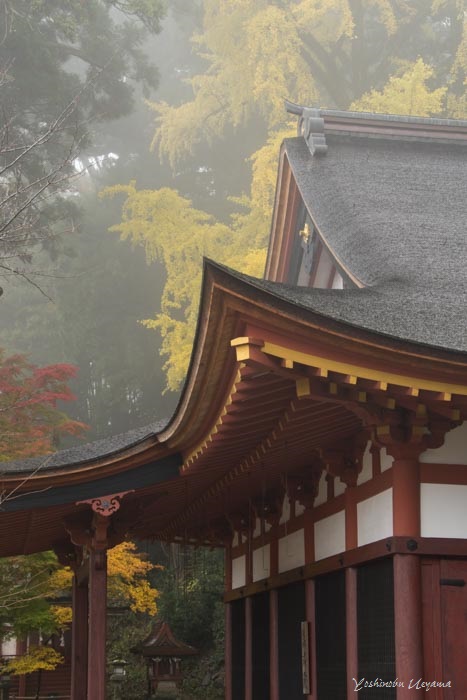 談山神社_e0092186_17491025.jpg