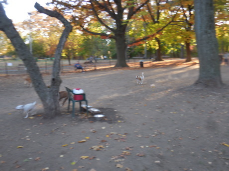 c0253487_05433822.jpg