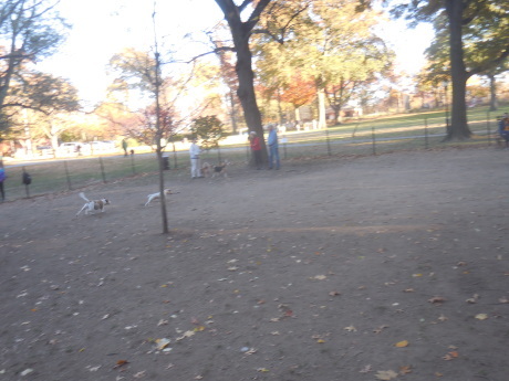 c0253487_05485364.jpg