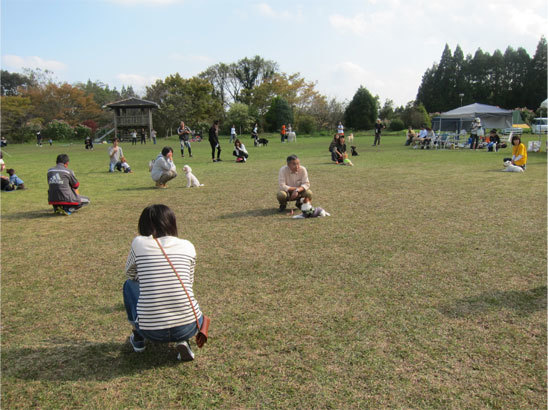 b0125788_00392440.jpg