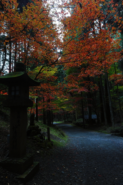 比叡山延暦寺　～横川～_e0051888_3374335.jpg