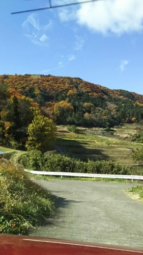 d0291493_20274802.jpg