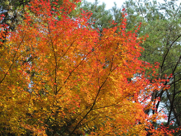 a0166196_10524994.jpg