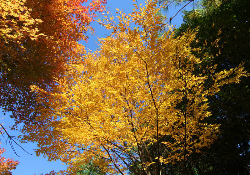 b0223198_17290240.jpg