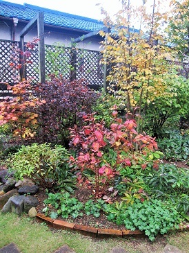 c0117898_10534817.jpg