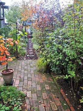 c0117898_10540896.jpg