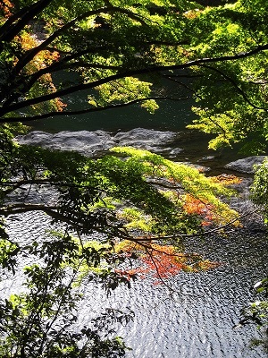 d0090001_9352395.jpg