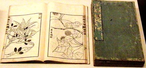 世界に挑んだ7年　小田野直武と秋田蘭画_b0044404_22303910.jpg