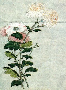 世界に挑んだ7年　小田野直武と秋田蘭画_b0044404_23194740.jpg