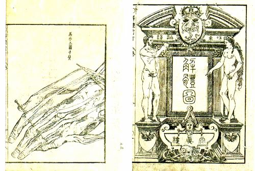 世界に挑んだ7年　小田野直武と秋田蘭画_b0044404_2324827.jpg