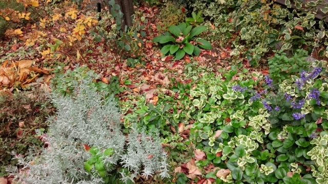 b0345108_18043214.jpg