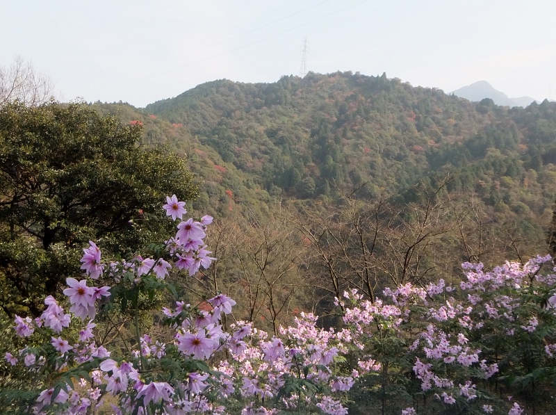 f0231708_22513811.jpg