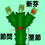 f0231709_16594246.gif