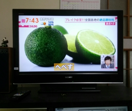 あさチャンと宮崎ライム_a0300410_11203914.jpg