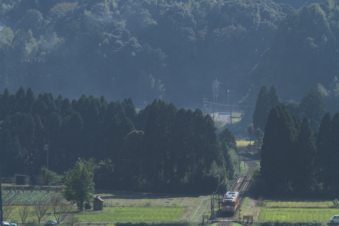 ここもまだ緑 - 2016年晩秋・いすみ鉄道 - _b0190710_0211147.jpg