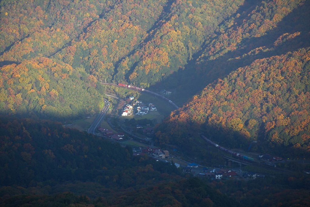 セノハチ監視ルート分岐下俯瞰(2016/11/16)_c0346710_14342701.jpg