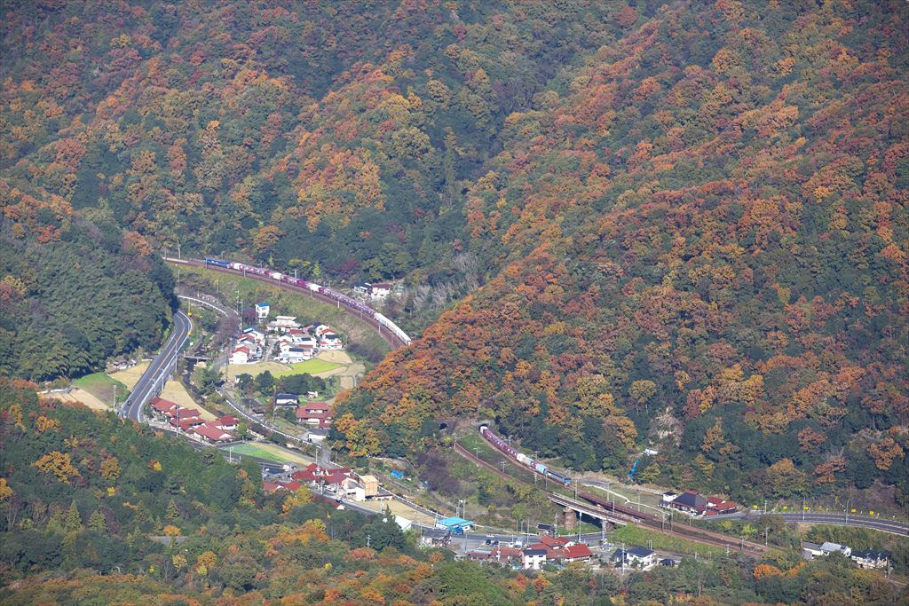 セノハチ監視ルート分岐下俯瞰(2016/11/16)_c0346710_14350595.jpg