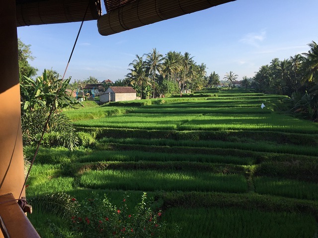 d0224712_18232478.jpg