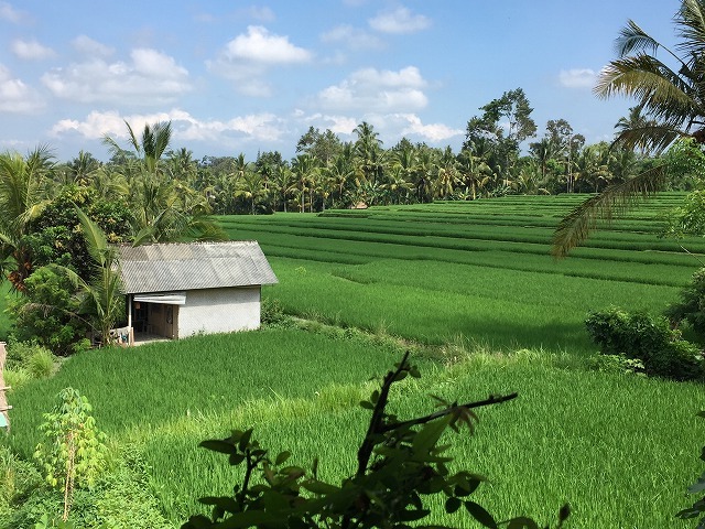 d0224712_18280748.jpg