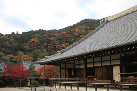 紅葉探訪8 嵐山から奥嵯峨野へ_e0048413_17395547.jpg
