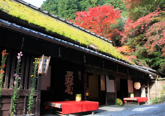 紅葉探訪8 嵐山から奥嵯峨野へ_e0048413_17402281.jpg