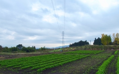 b0055215_12551491.jpg