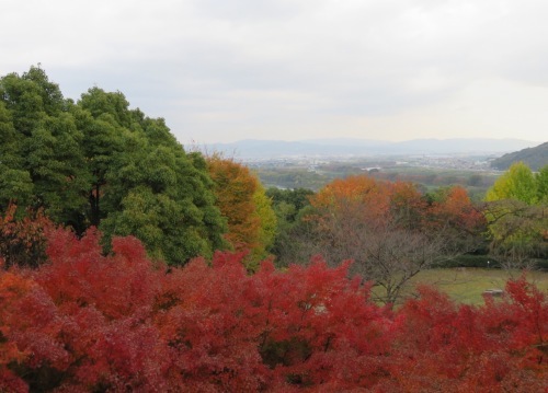 晩秋の一日 モネの絵と紅葉を楽しむ 風のとおる家から 晩秋の一日 モネの絵と紅葉を楽しむ 風のとおる家から