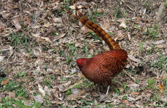 f0364220_06364703.jpg