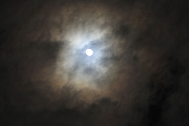 e0242721_07440801.jpg