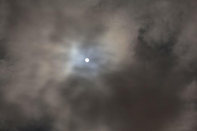 e0242721_07445529.jpg