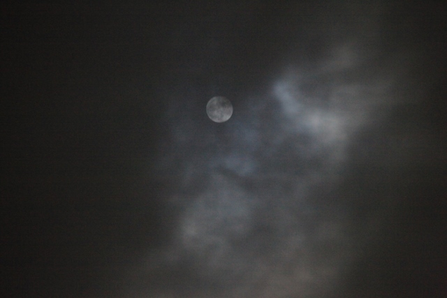 e0242721_07470062.jpg