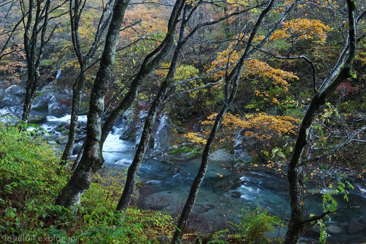 日光 憾満ヶ淵 ～紅葉～_d0319222_948966.jpg