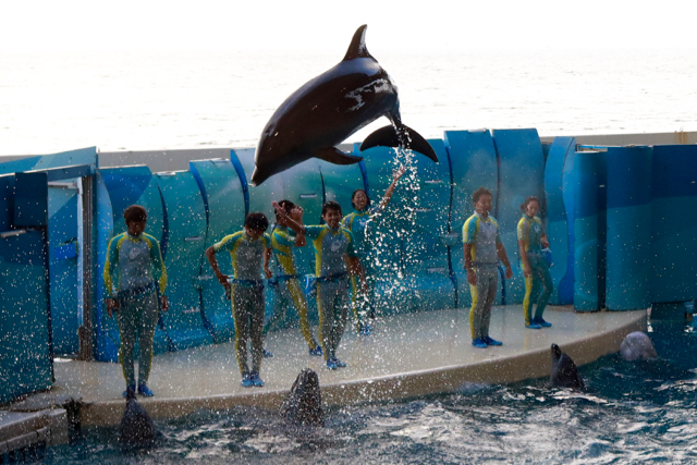 【新江ノ島水族館】_f0348831_22020229.jpg