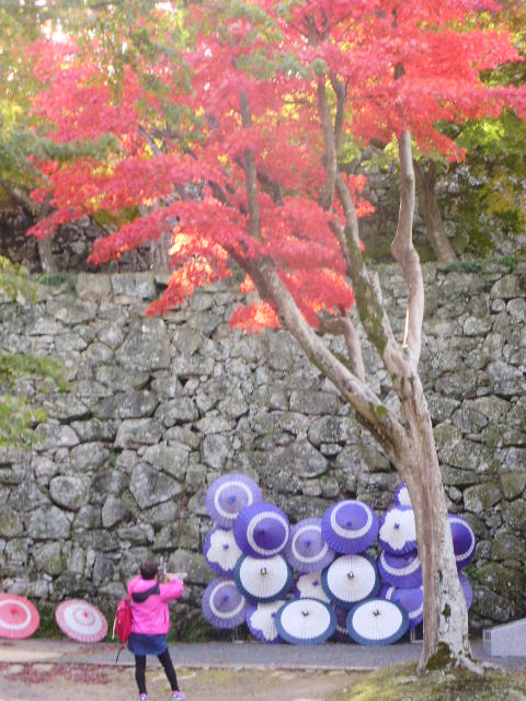e0060041_10354615.jpg